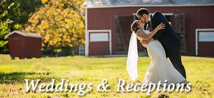 Weddings & Receptions